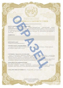 Образец Сертификат СТО 01.064.00220722.2-2020 Мелеуз Сертификат СТО 01.064.00220722.2-2020 
